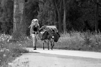 42 - VERS L'AVENTURE - VIENNE ALBERT - belgium <div